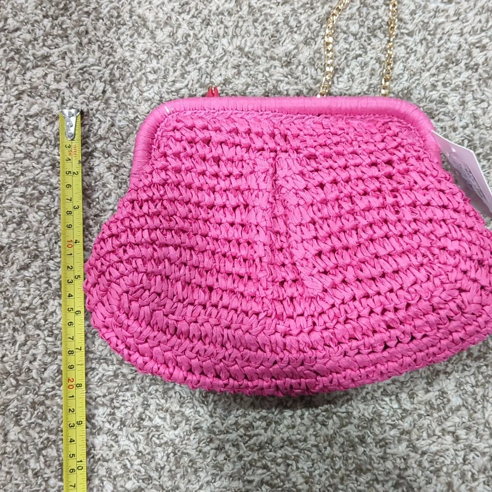 D'margeaux New York Fushia Woven Handbag Gold Chain Purse NWT